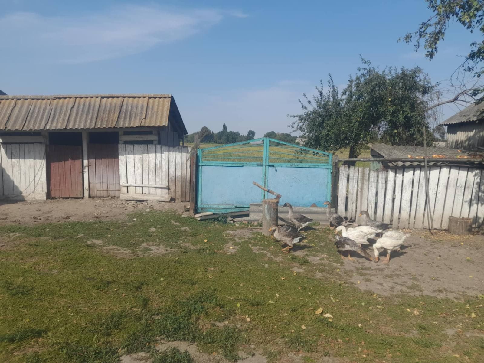 Обʼєкт нерухомості: 3 КІМ. БУДИНОК, ПЛОЩА - 52 м², ЦІНА - 2 407 $
 — HUBTRUST, Вінниця