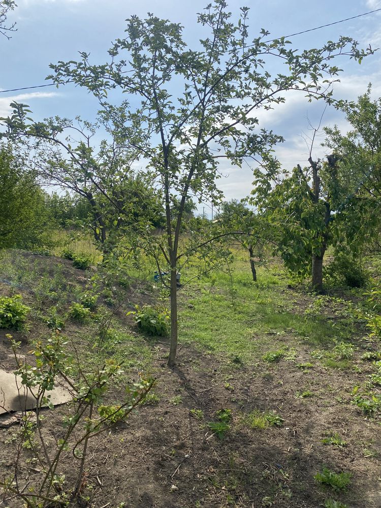 Обʼєкт нерухомості: 4 КІМ. БУДИНОК, ПЛОЩА - 71 м², ЦІНА - 9 100 $
 — HUBTRUST, Вінниця