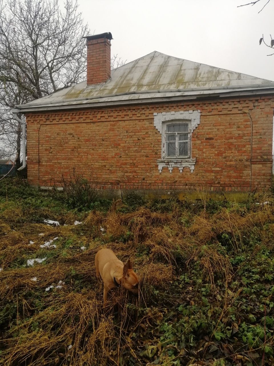 5 КІМ. БУДИНОК, ПЛОЩА - 70 м², ЦІНА - 4 500 $
