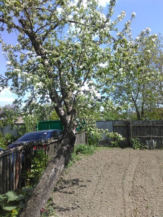 Обʼєкт нерухомості: 4 КІМ. БУДИНОК, ПЛОЩА - 65 м², ЦІНА - 6 000 $
 — HUBTRUST, Вінниця