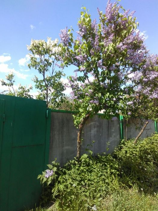 Обʼєкт нерухомості: 4 КІМ. БУДИНОК, ПЛОЩА - 65 м², ЦІНА - 6 000 $
 — HUBTRUST, Вінниця