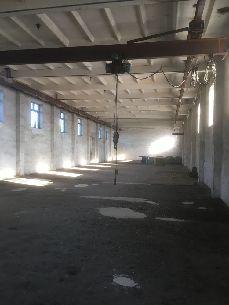 ПЛОЩА - 700 м², ЦІНА - 0 $
