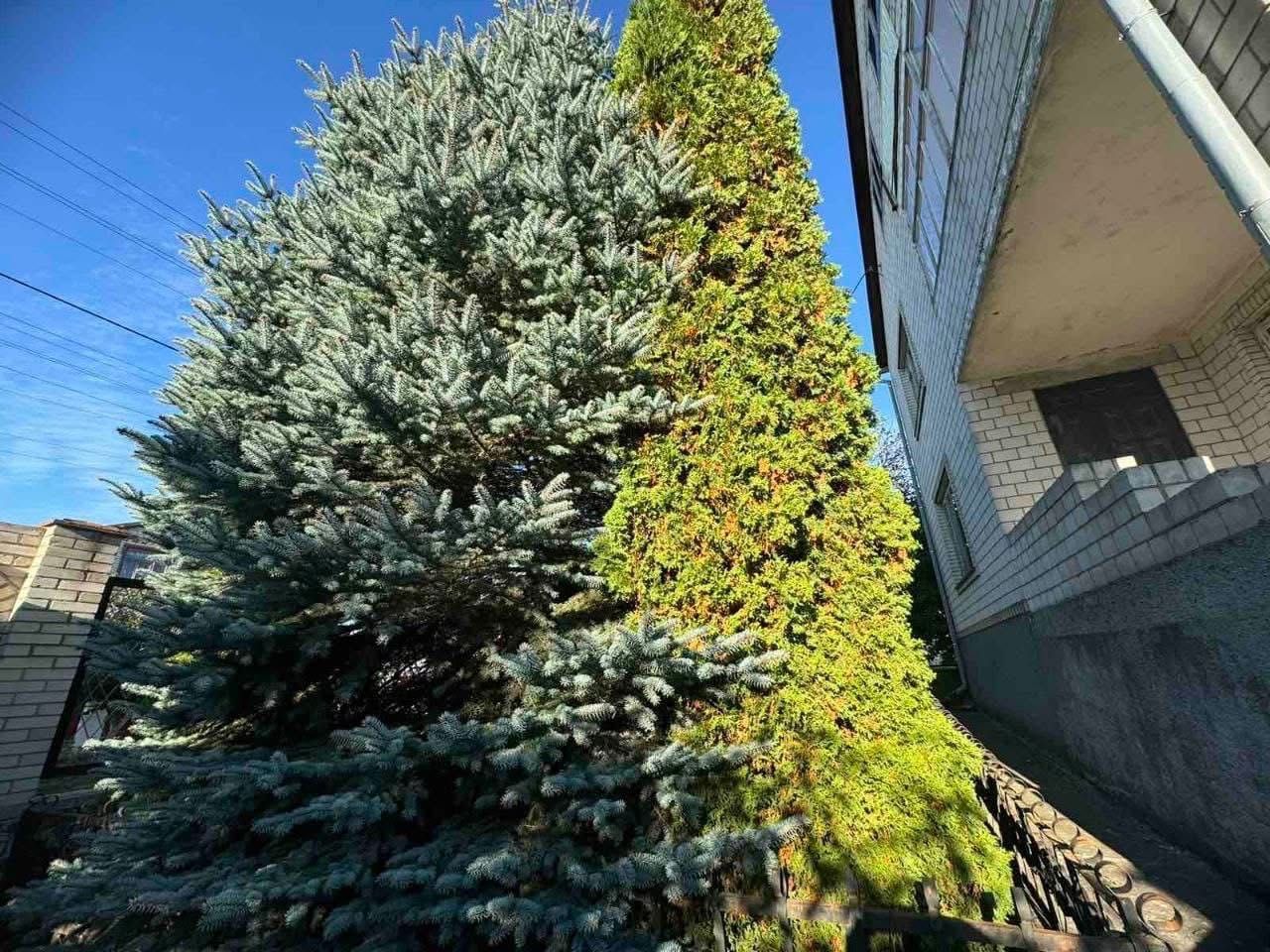 Фото 8 КІМ.  БУДИНОК ПЛОЩА – 450 м², ЦІНА – 125 000$, РАЙОН: Стрижавка у Вінниці