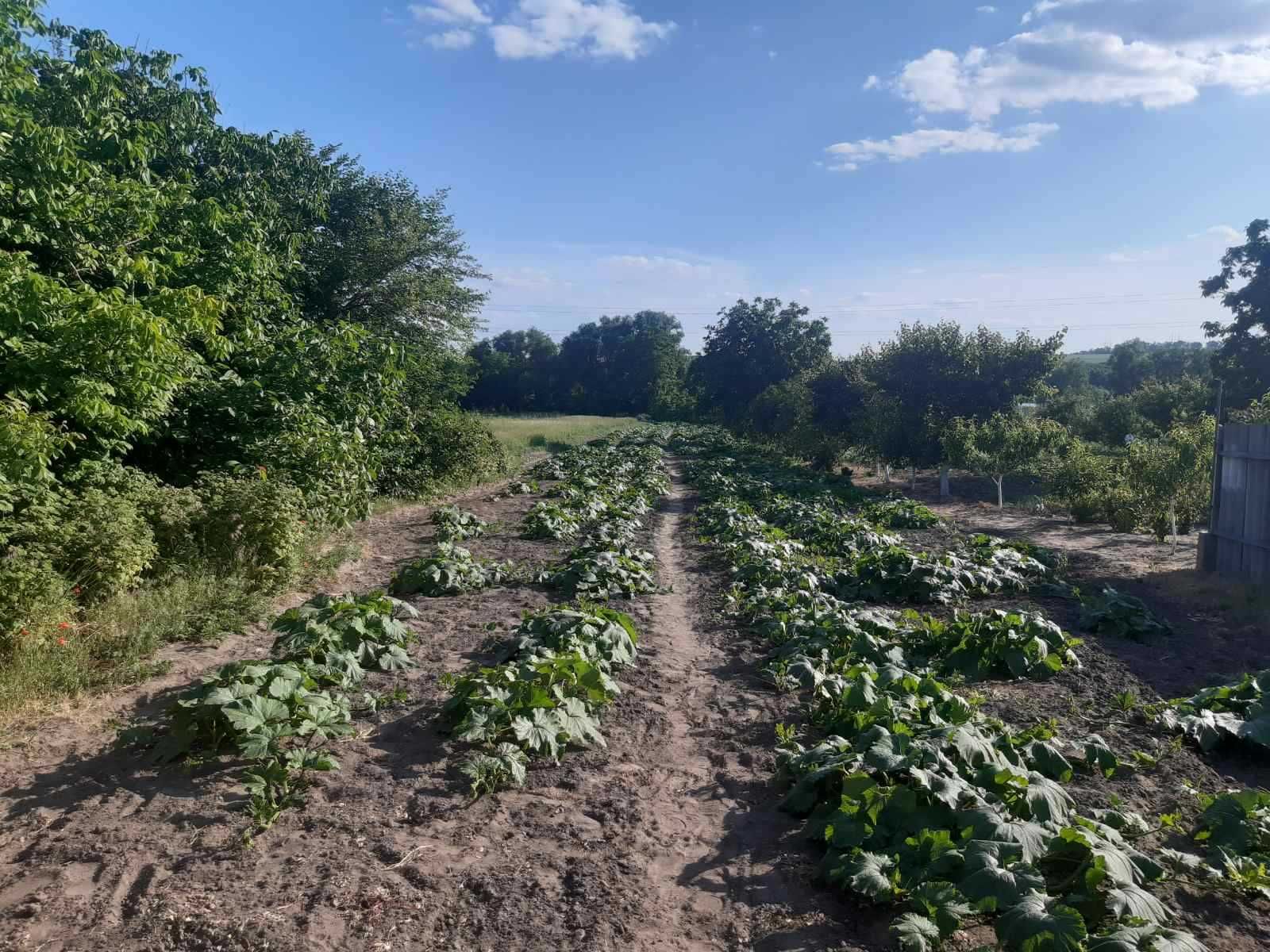 Обʼєкт нерухомості: 3 КІМ. БУДИНОК, ПЛОЩА - 48.1 м², ЦІНА - 3 100 $
 — HUBTRUST, Вінниця