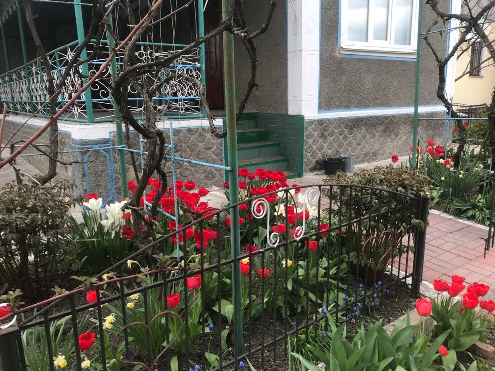 4 КІМ. БУДИНОК, ПЛОЩА - 78 м², ЦІНА - 40 000 $
