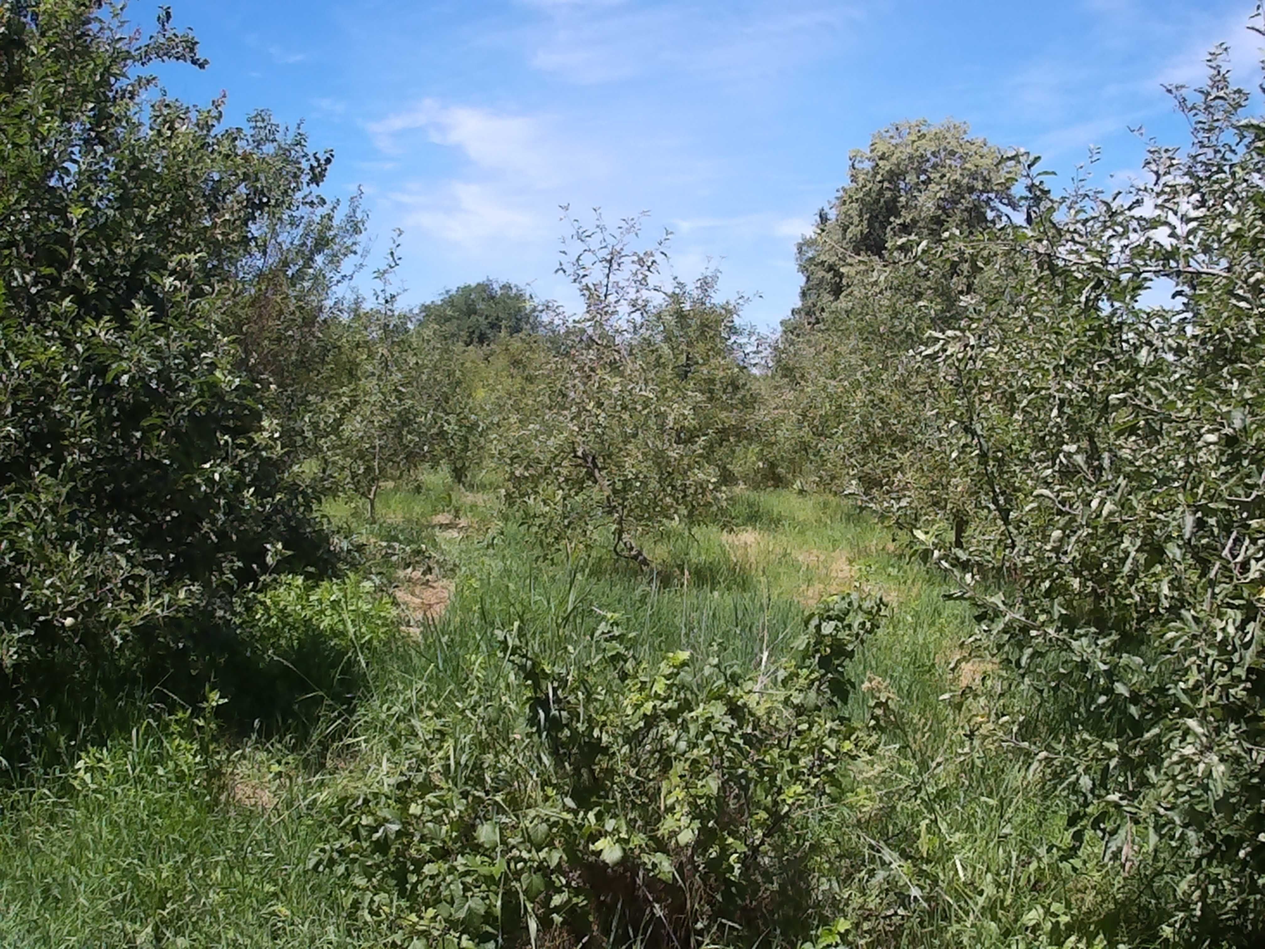 Обʼєкт нерухомості: 2 КІМ. БУДИНОК, ПЛОЩА - 220 м², ЦІНА - 18 715 $
 — HUBTRUST, Вінниця