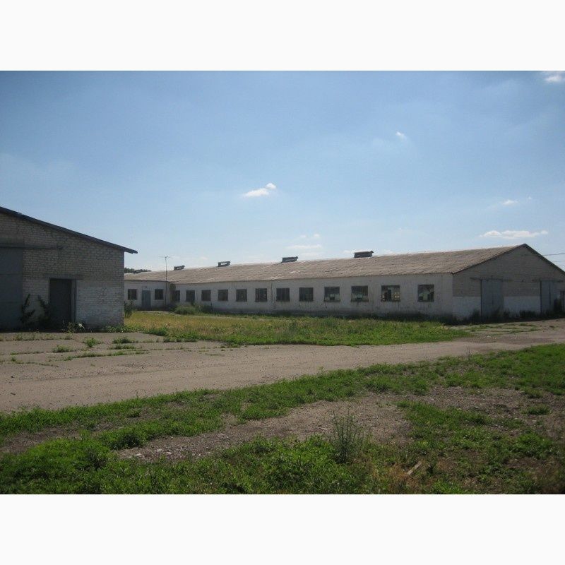 ПЛОЩА - 900 м², ЦІНА - 191 $
