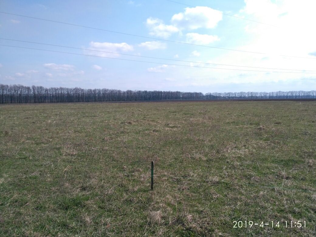 ПЛОЩА – 10 сот., ЦІНА – 1 000$, РАЙОН: Мізяківські хутори