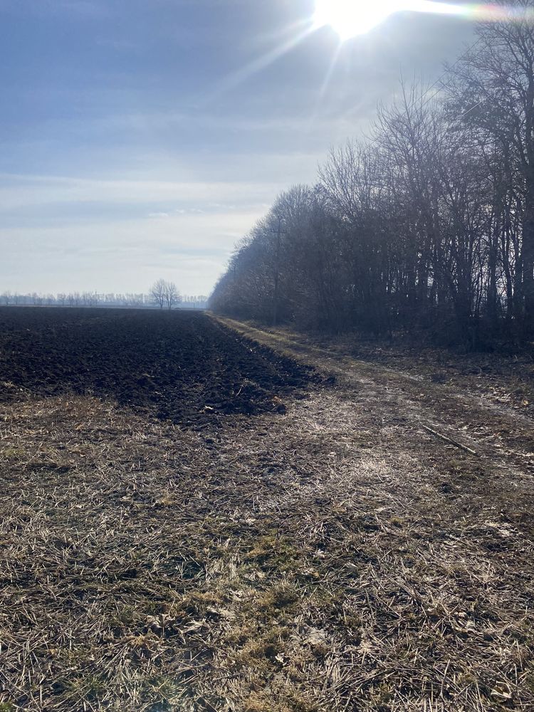 Фото ПЛОЩА – 160 сот., ЦІНА – 105 000$, РАЙОН: Вінницькі Хутори у Вінниці