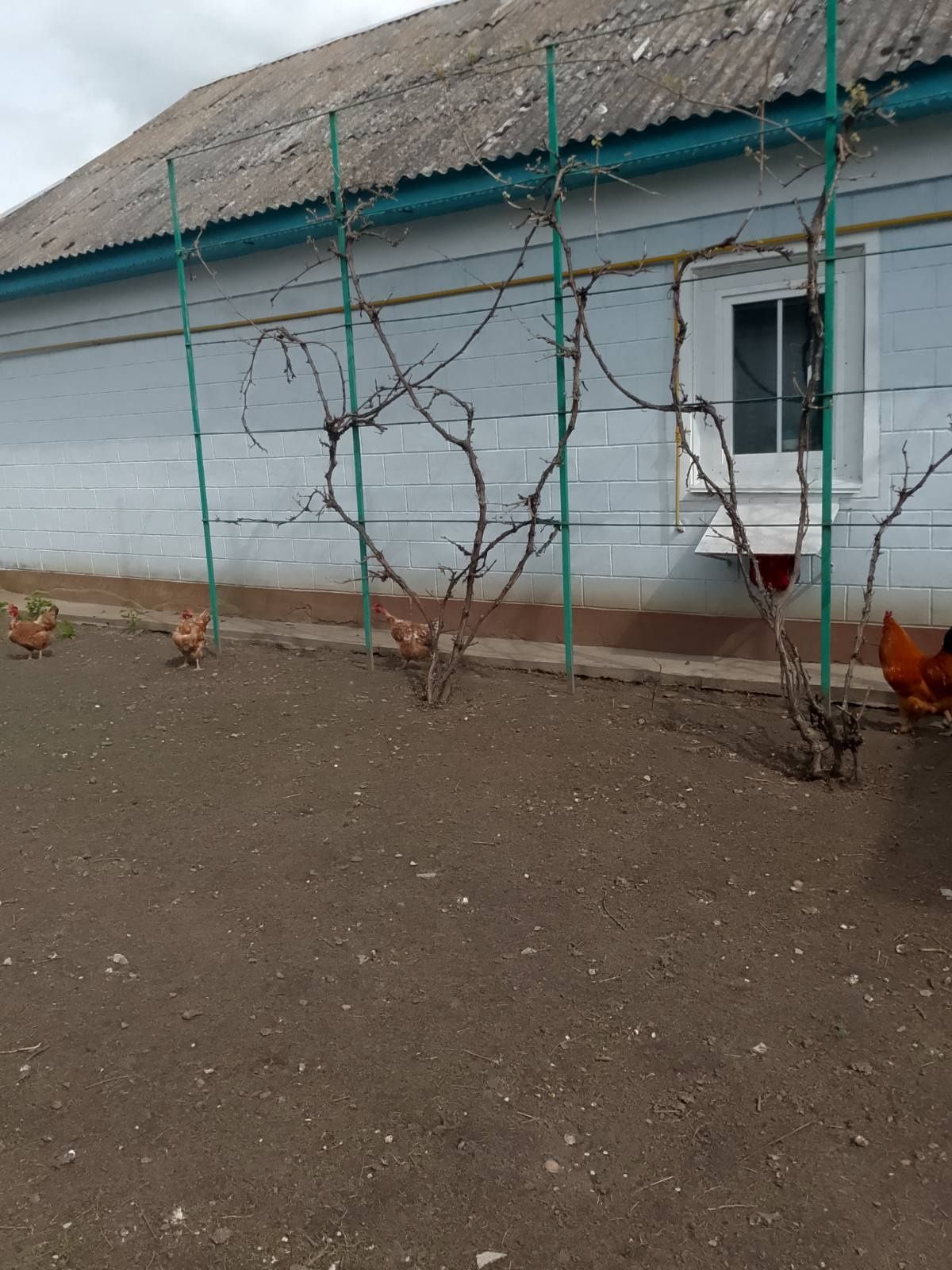 Обʼєкт нерухомості: 2 КІМ. БУДИНОК, ПЛОЩА - 62.9 м², ЦІНА - 5 998 $
 — HUBTRUST, Вінниця