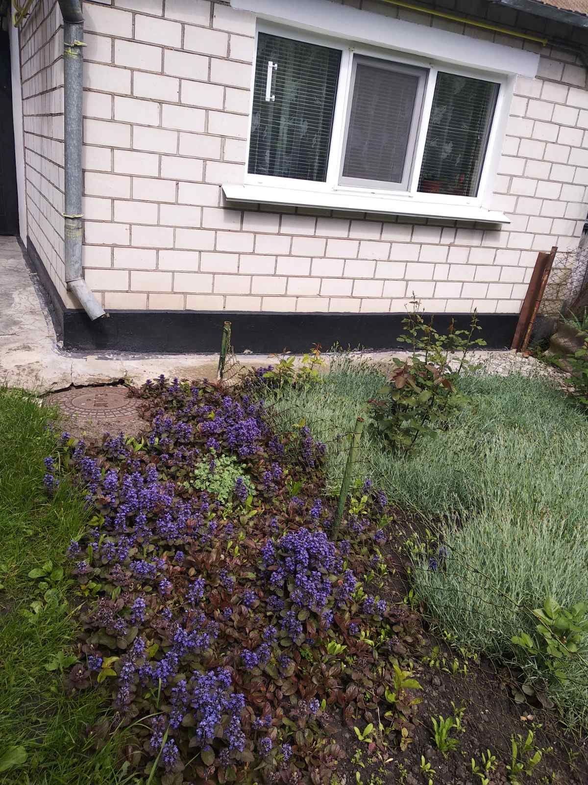 Обʼєкт нерухомості: 2 КІМ. БУДИНОК, ПЛОЩА - 48.5 м², ЦІНА - 32 000 $
 — HUBTRUST, Вінниця