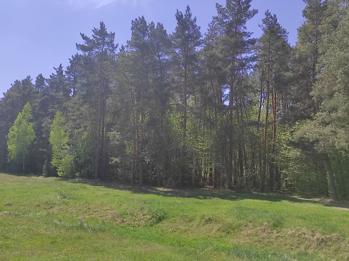 Обʼєкт нерухомості: 3 КІМ. БУДИНОК, ПЛОЩА - 50 м², ЦІНА - 45 000 $
 — HUBTRUST, Вінниця