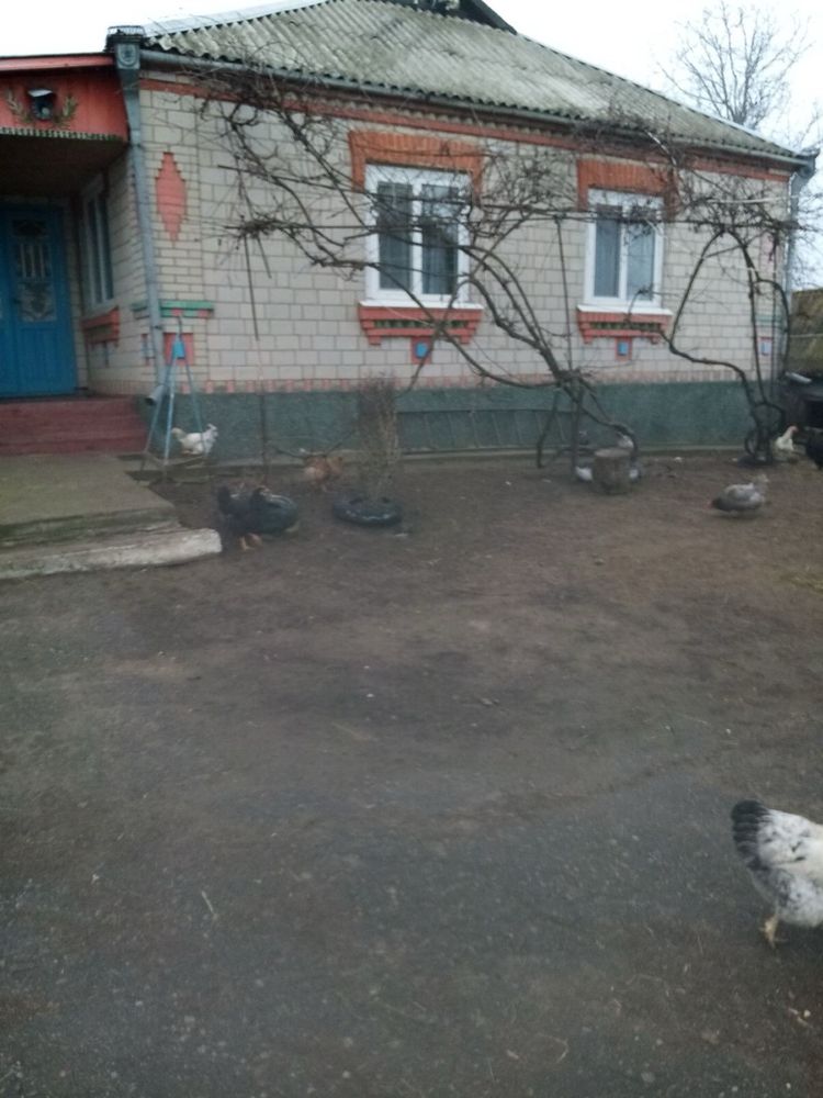 Обʼєкт нерухомості: 3 КІМ. БУДИНОК, ПЛОЩА - 104 м², ЦІНА - 11 997 $
 — HUBTRUST, Вінниця