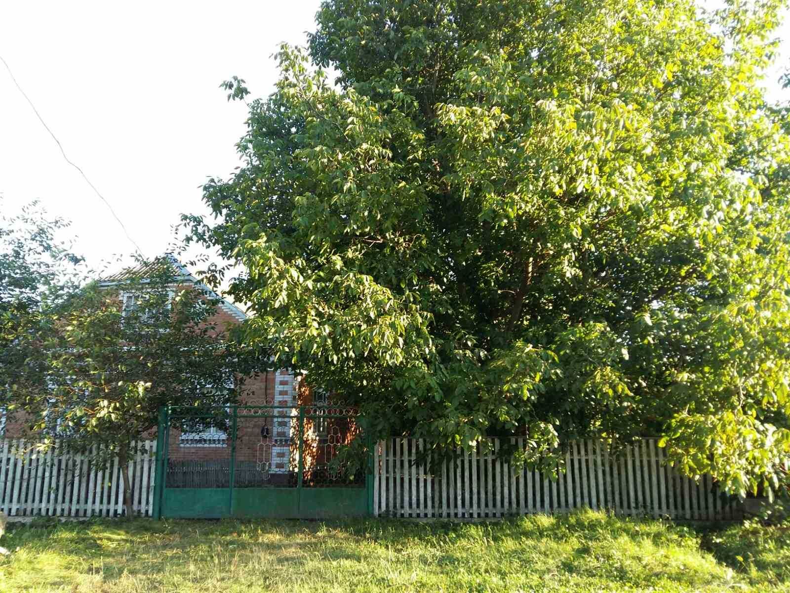 Обʼєкт нерухомості: 5 КІМ. БУДИНОК, ПЛОЩА - 250 м², ЦІНА - 20 000 $
 — HUBTRUST, Вінниця