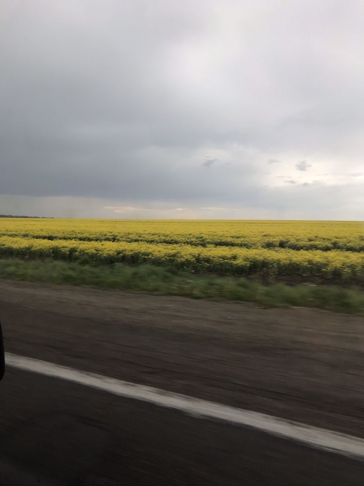 ПЛОЩА - 10 CОТ., ЦІНА - 5 500 $
