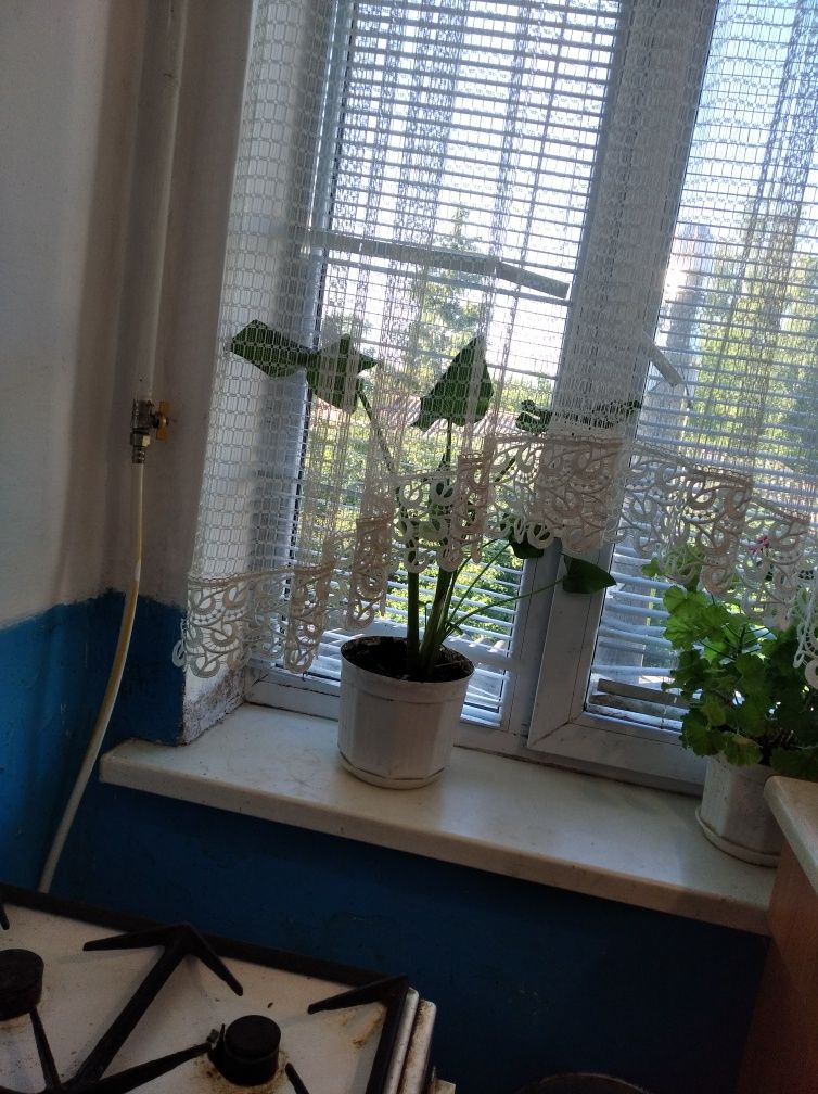 Обʼєкт нерухомості: КІМНАТА, ПЛОЩА - 22.3 м², ЦІНА - 8 000 $
 — HUBTRUST, Вінниця