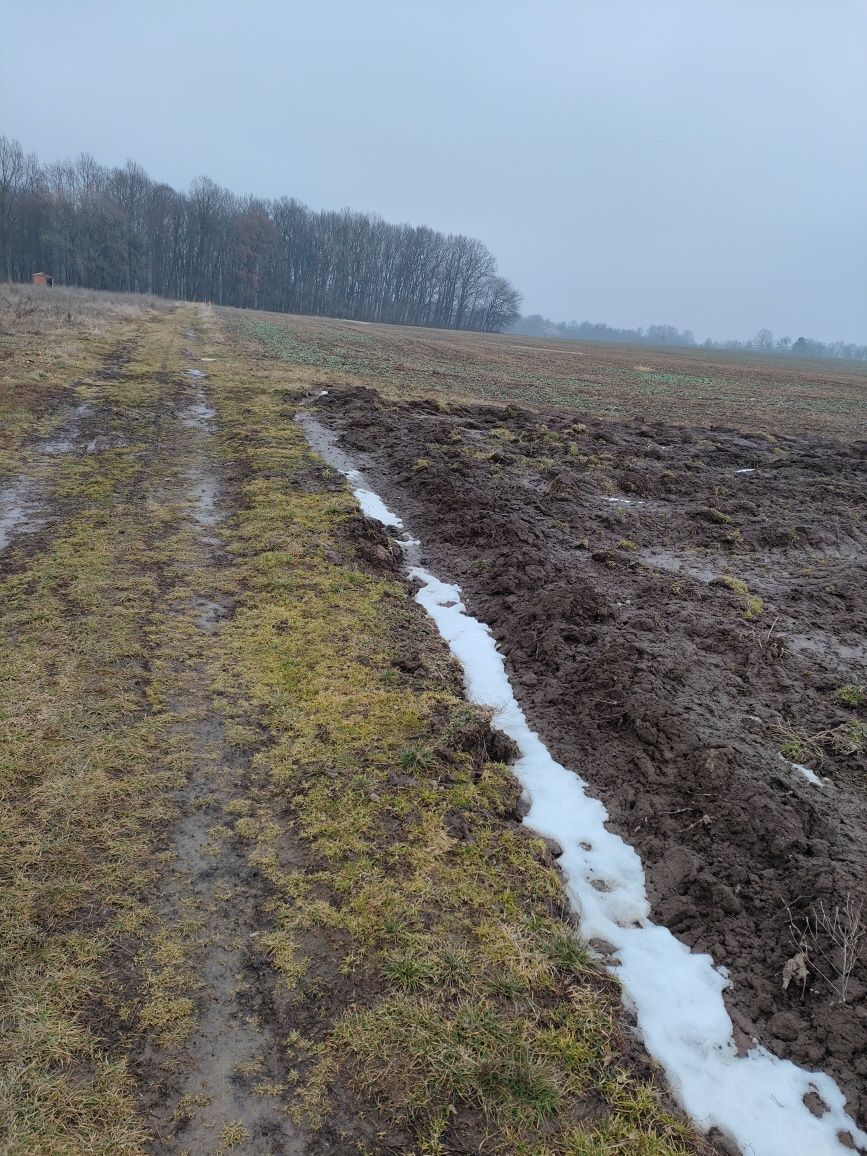 ПЛОЩА – 130 сот., ЦІНА – 50 000$, РАЙОН: Парпурівці