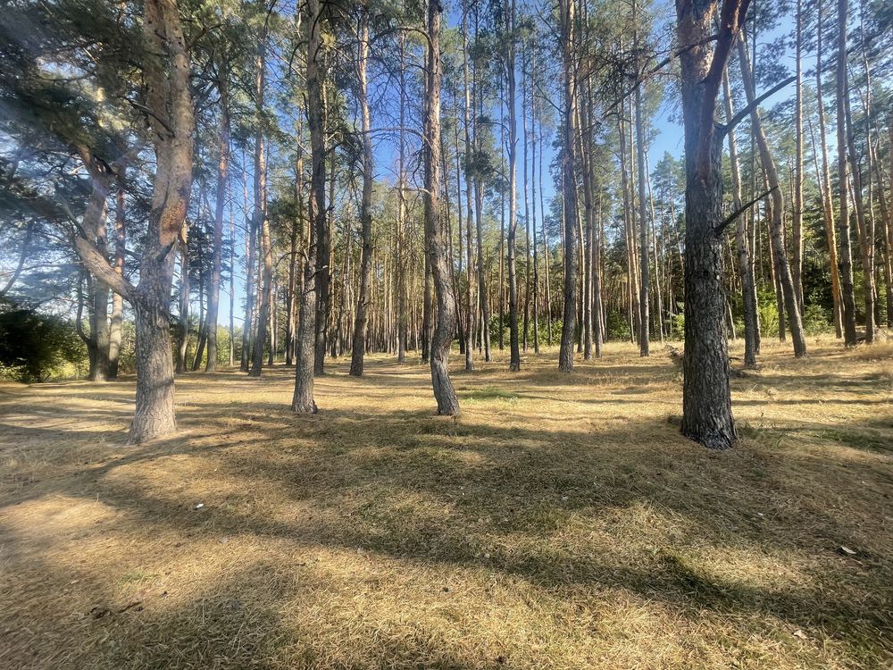 Обʼєкт нерухомості: ПЛОЩА – 40 сот., ЦІНА – 20 500$, РАЙОН: Сосонка — HUBTRUST, Вінниця