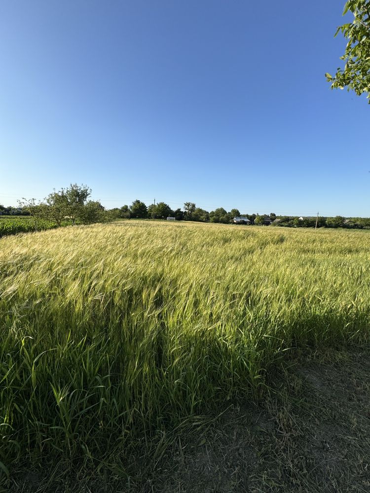Обʼєкт нерухомості: 4 КІМ. БУДИНОК, ПЛОЩА - 68 м², ЦІНА - 21 500 $
 — HUBTRUST, Вінниця