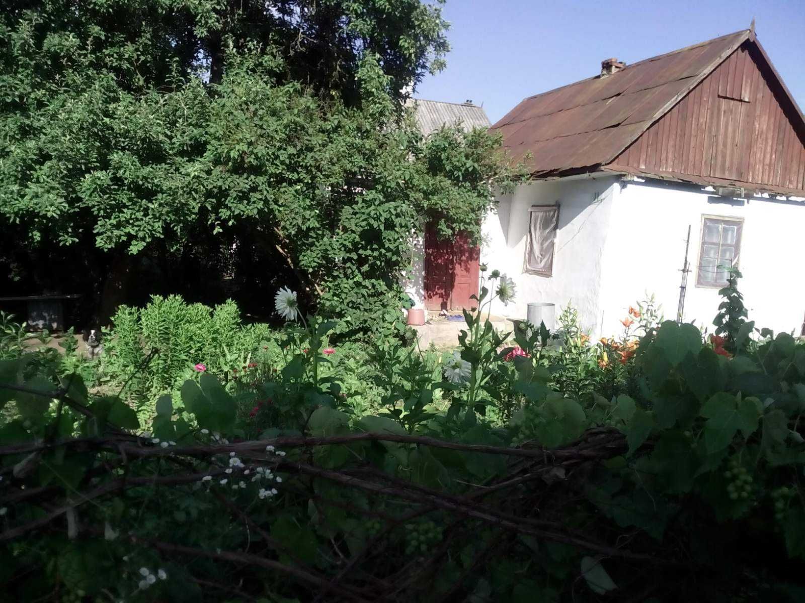 Обʼєкт нерухомості: 1 КІМ. БУДИНОК, ПЛОЩА - 45 м², ЦІНА - 20 000 $
 — HUBTRUST, Вінниця