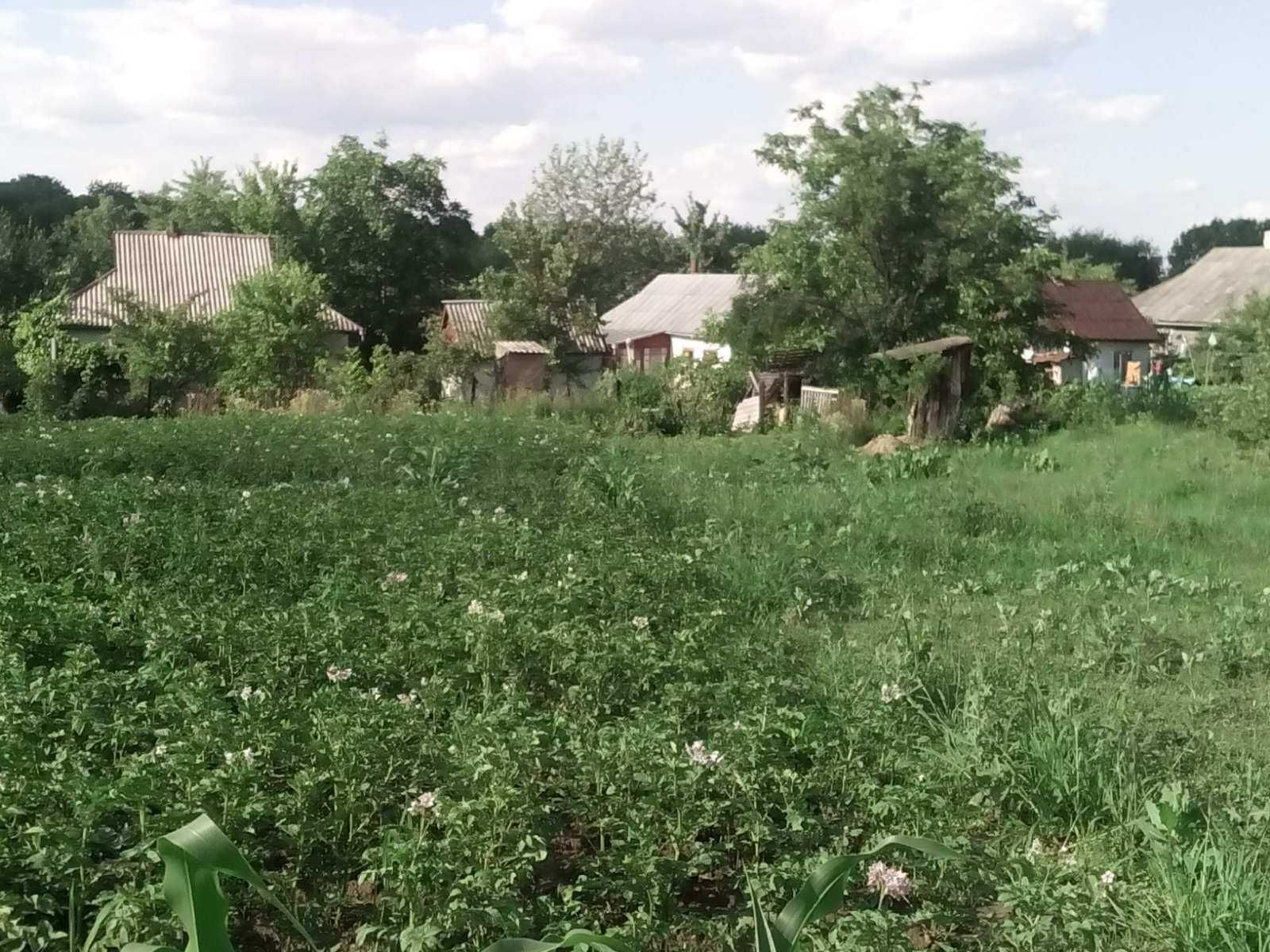 Обʼєкт нерухомості: 1 КІМ. БУДИНОК, ПЛОЩА - 45 м², ЦІНА - 20 000 $
 — HUBTRUST, Вінниця