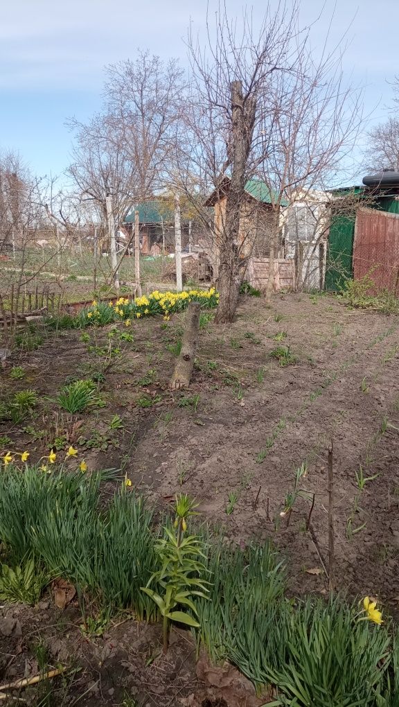 Обʼєкт нерухомості: 1 КІМ. БУДИНОК, ПЛОЩА - 500 м², ЦІНА - 5 000 $
 — HUBTRUST, Вінниця