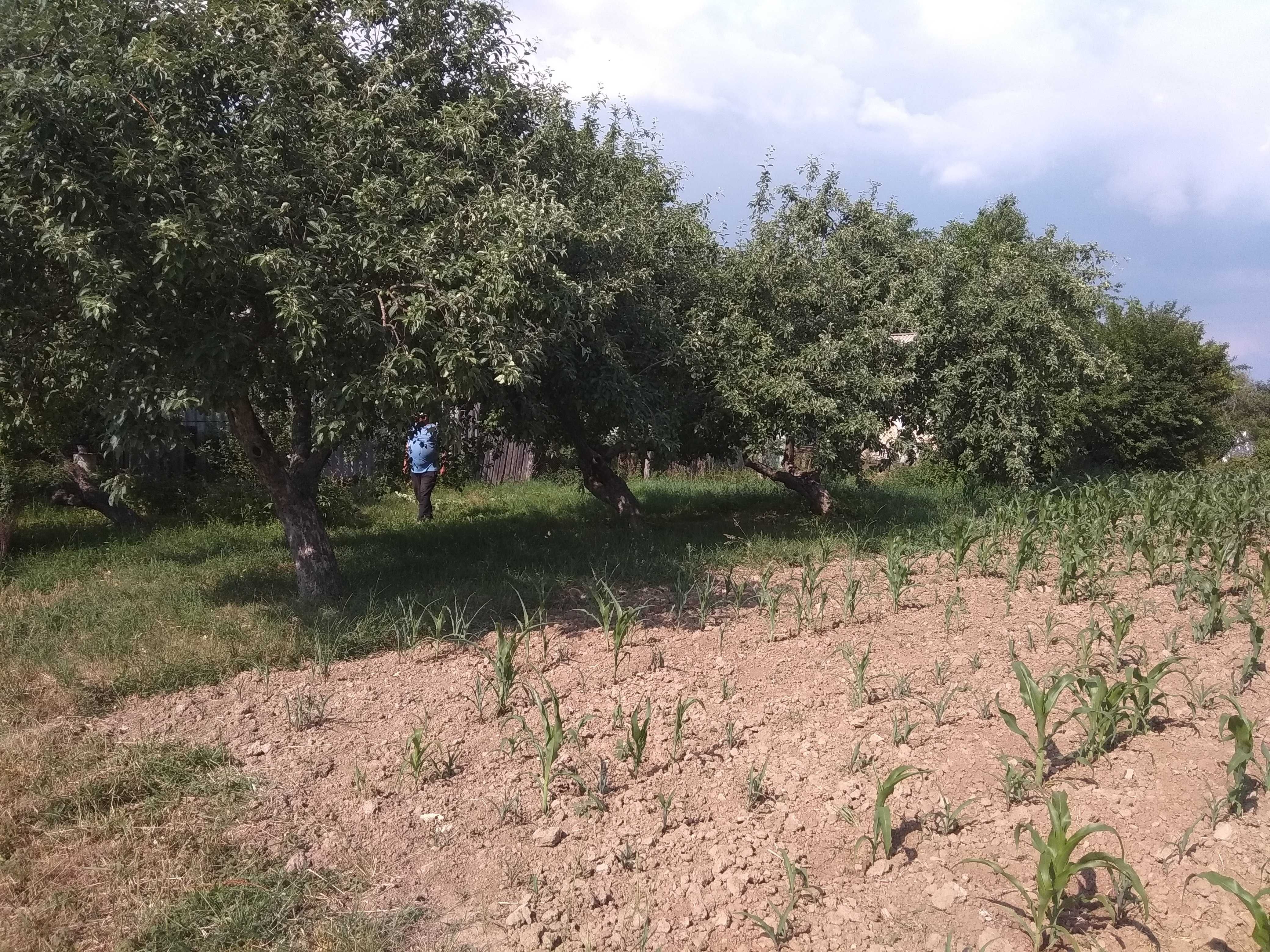 Обʼєкт нерухомості: 5 КІМ. БУДИНОК, ПЛОЩА - 50 м², ЦІНА - 2 699 $
 — HUBTRUST, Вінниця