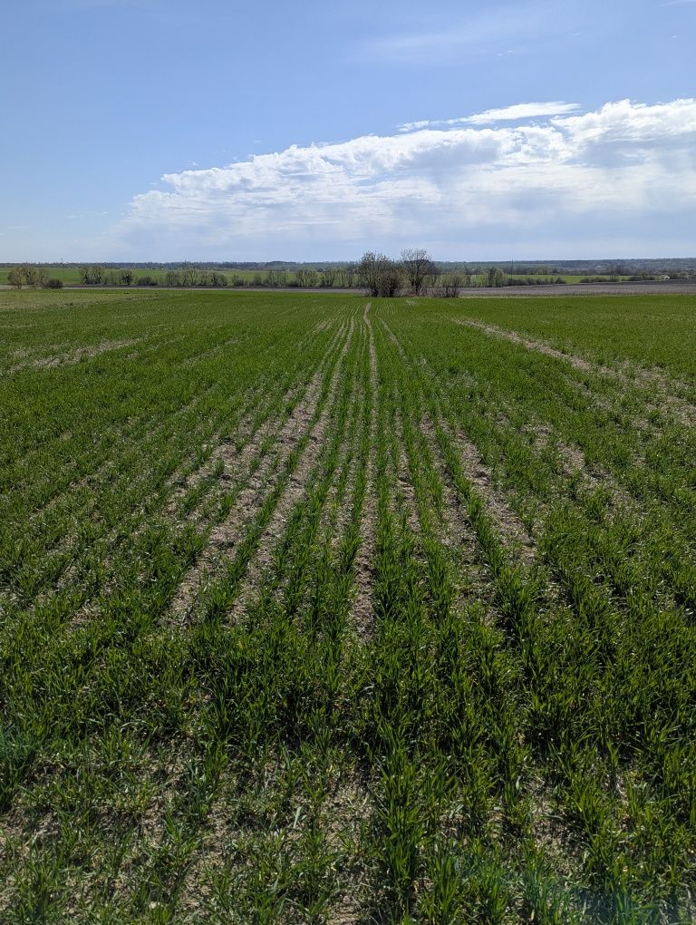 Обʼєкт нерухомості: ПЛОЩА - 18 CОТ., ЦІНА - 5 000 $
 — HUBTRUST, Вінниця