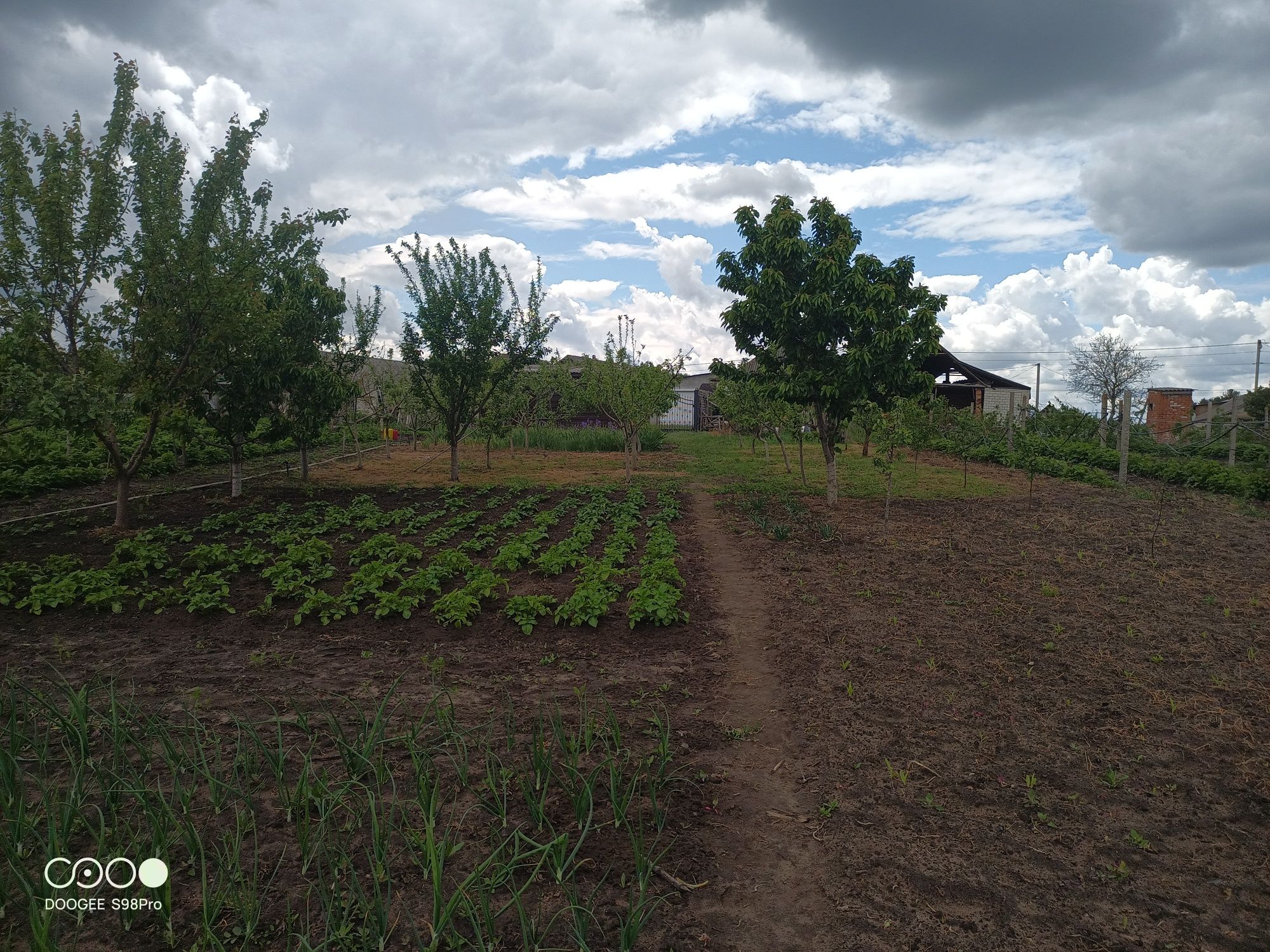Обʼєкт нерухомості: ПЛОЩА - 200 м², ЦІНА - 38 000 $
 — HUBTRUST, Вінниця