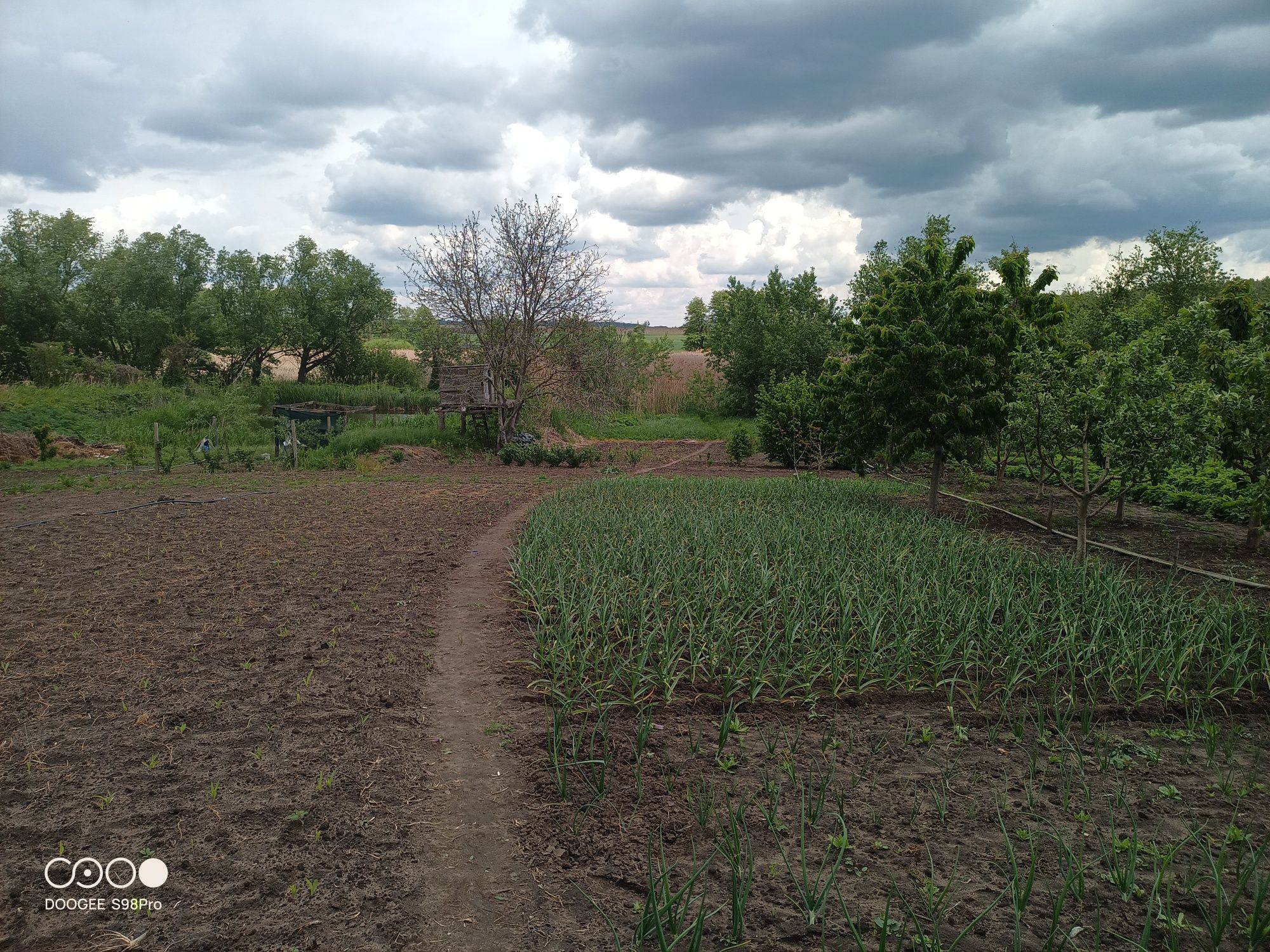 Обʼєкт нерухомості: ПЛОЩА - 200 м², ЦІНА - 38 000 $
 — HUBTRUST, Вінниця