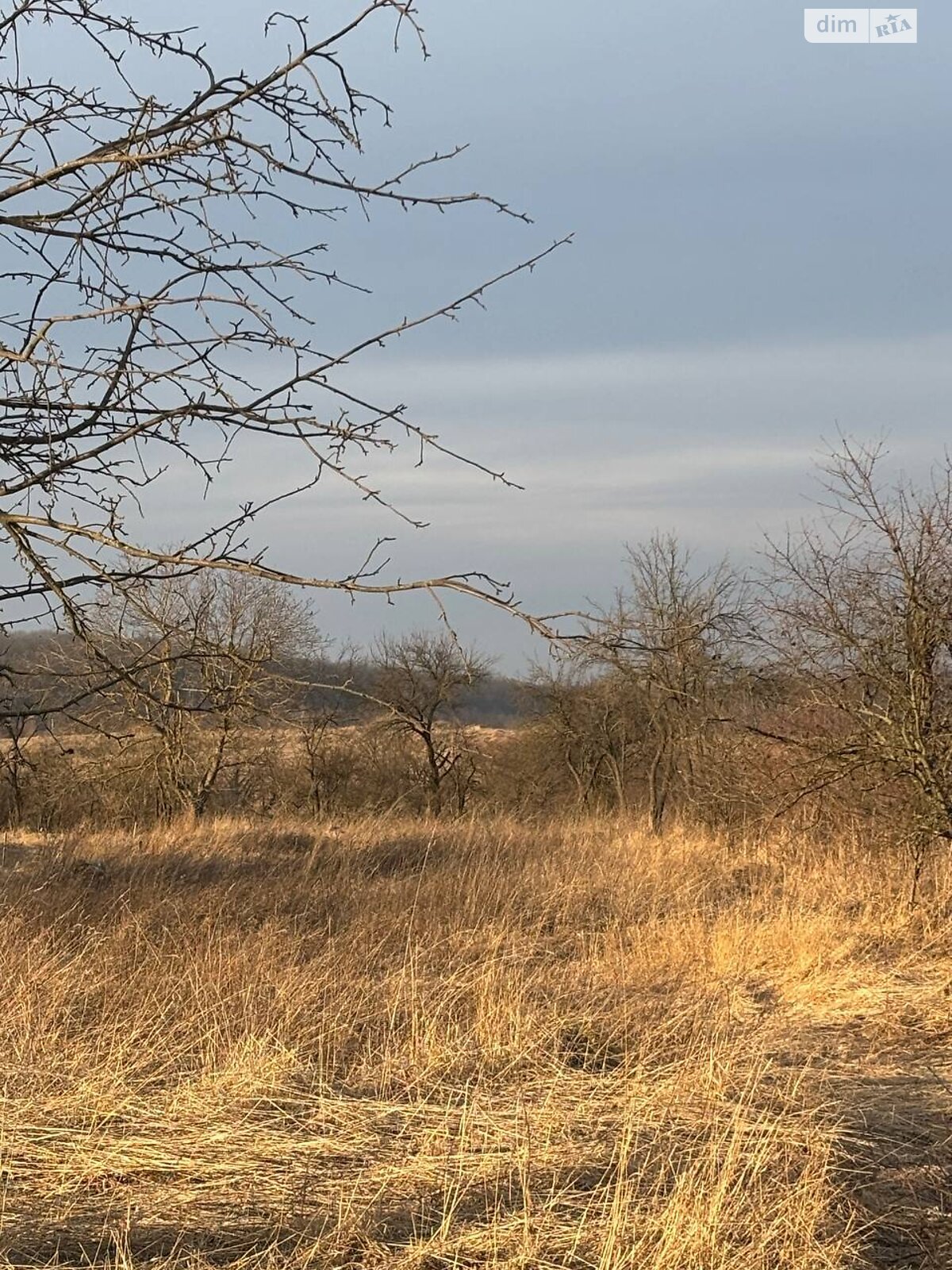 Обʼєкт нерухомості: ПЛОЩА - 52 CОТ., ЦІНА - 187 200 $
, вул. Богдана Хмельницького — HUBTRUST, Вінниця