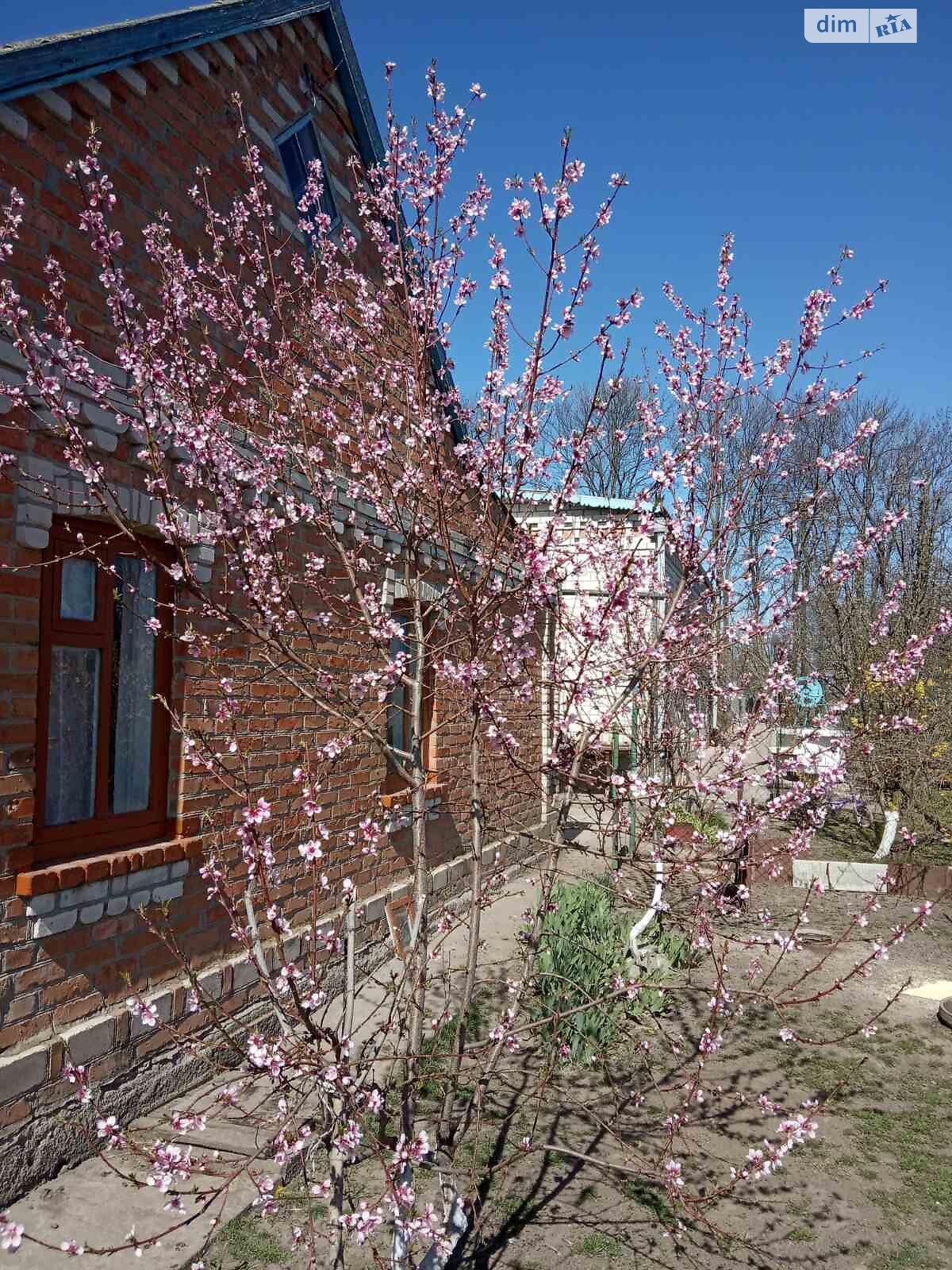 Обʼєкт нерухомості: 4 КІМ. БУДИНОК, ПЛОЩА - 112.8 м², ЦІНА - 25 500 $
 — HUBTRUST, Вінниця