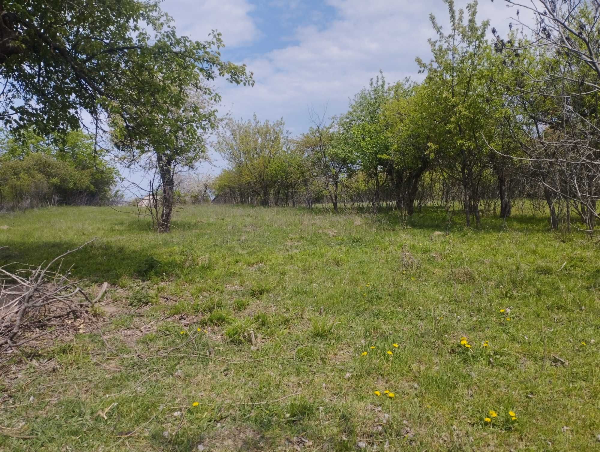 5 КІМ. БУДИНОК, ПЛОЩА - 38 м², ЦІНА - 7 700 $
