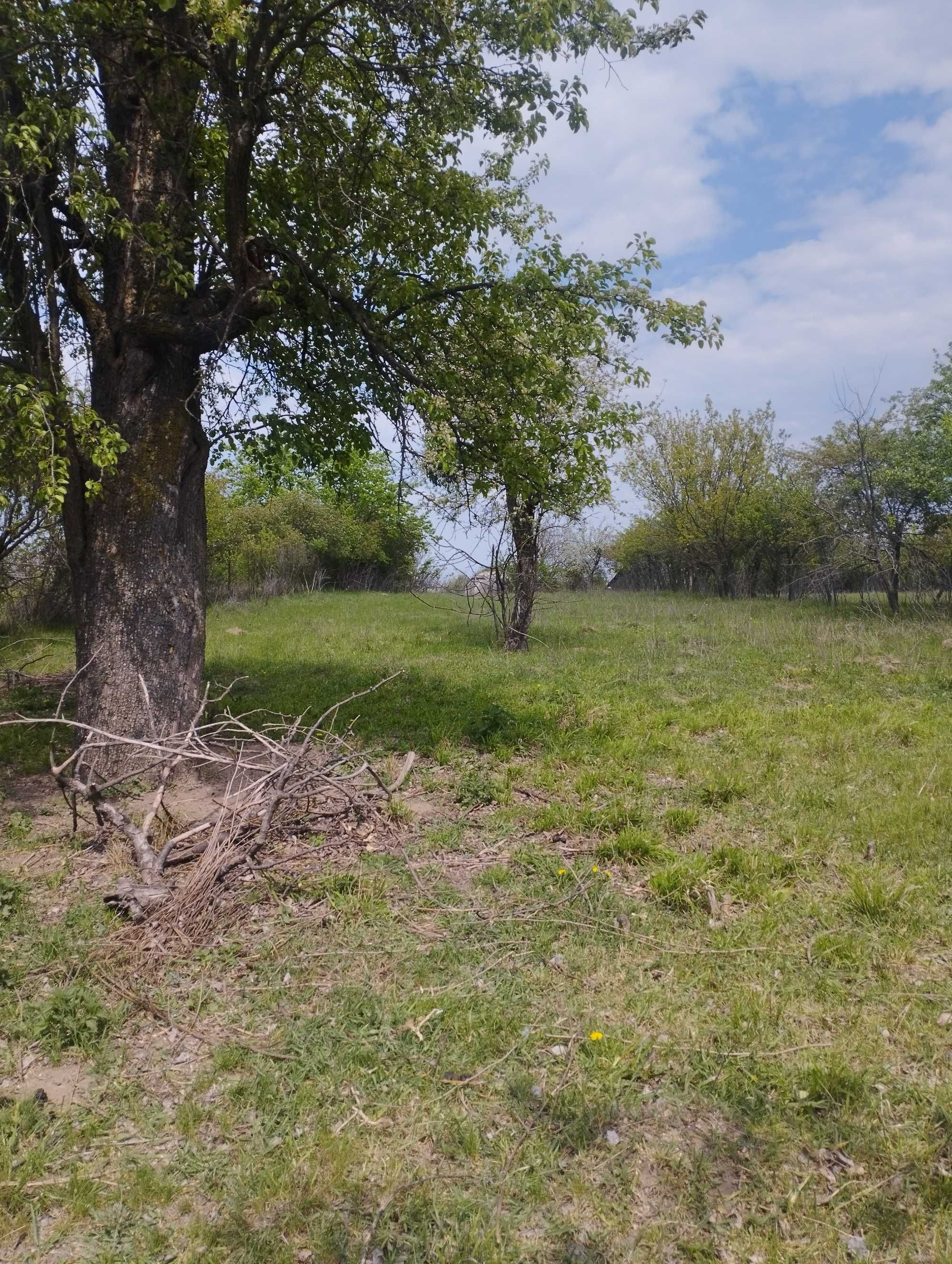 Обʼєкт нерухомості: 5 КІМ. БУДИНОК, ПЛОЩА - 38 м², ЦІНА - 7 700 $
 — HUBTRUST, Вінниця
