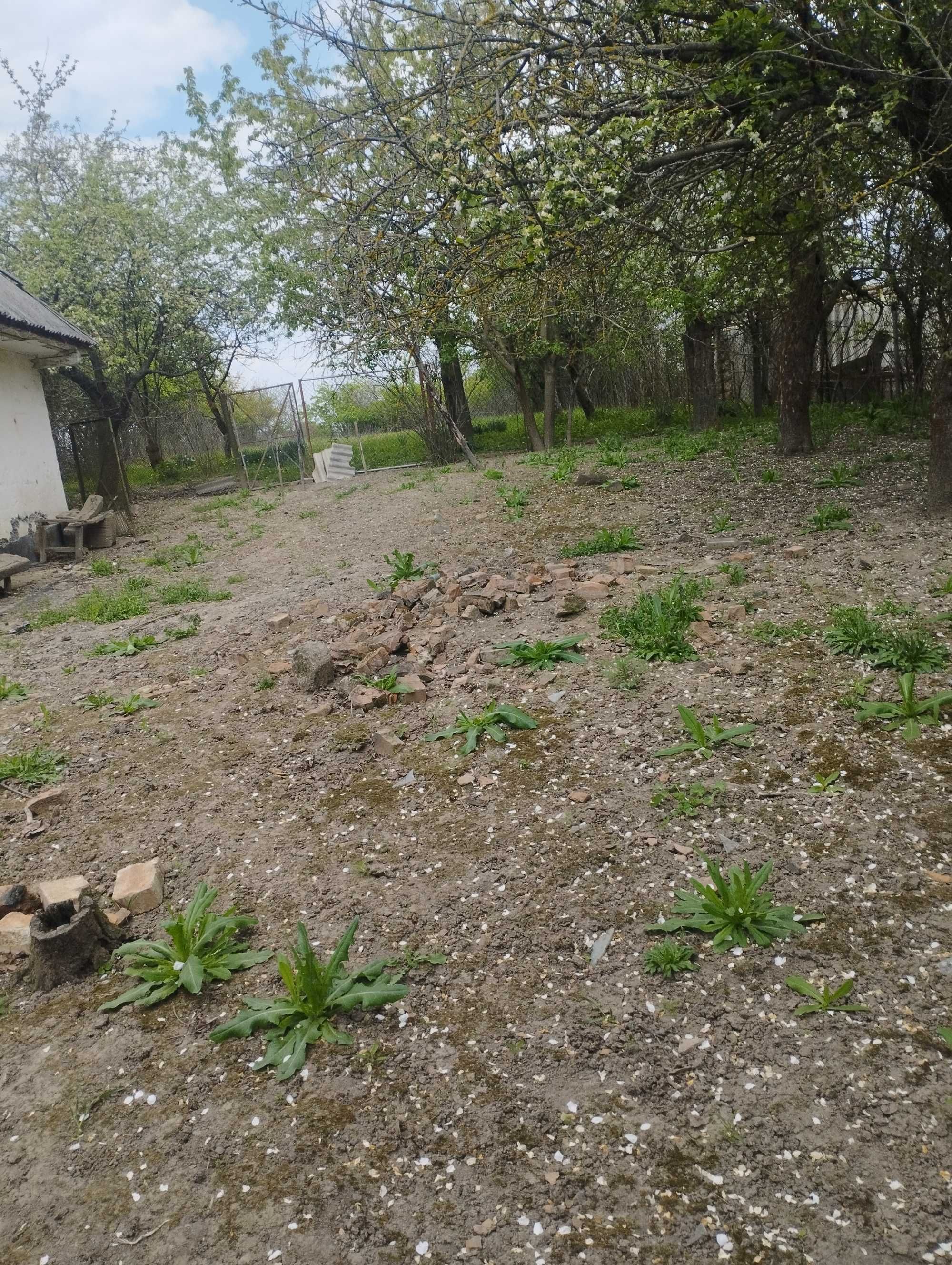 Обʼєкт нерухомості: 5 КІМ. БУДИНОК, ПЛОЩА - 38 м², ЦІНА - 7 700 $
 — HUBTRUST, Вінниця