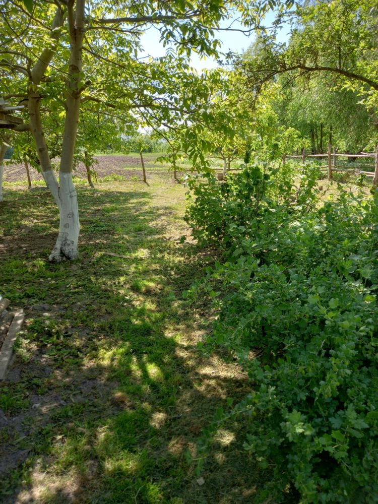 Обʼєкт нерухомості: 3 КІМ. БУДИНОК, ПЛОЩА - 70 м², ЦІНА - 37 000 $
 — HUBTRUST, Вінниця