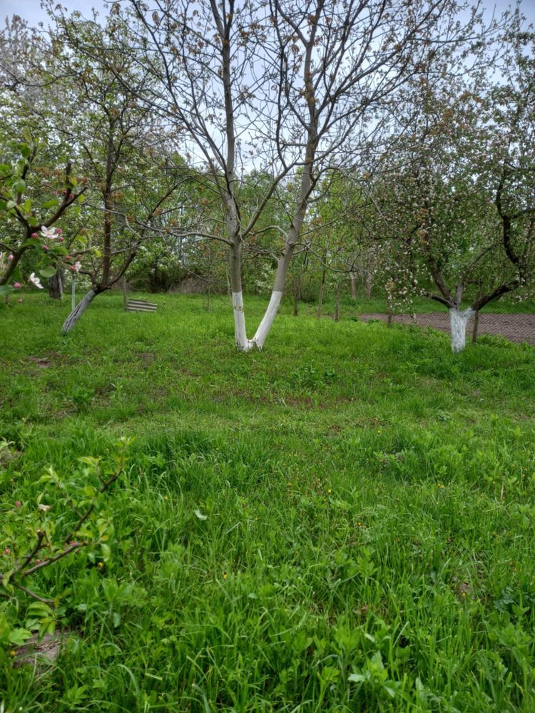 Обʼєкт нерухомості: 3 КІМ. БУДИНОК, ПЛОЩА - 70 м², ЦІНА - 37 000 $
 — HUBTRUST, Вінниця