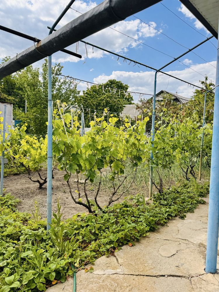 Обʼєкт нерухомості: 5 КІМ. БУДИНОК, ПЛОЩА - 100 м², ЦІНА - 45 000 $
 — HUBTRUST, Вінниця