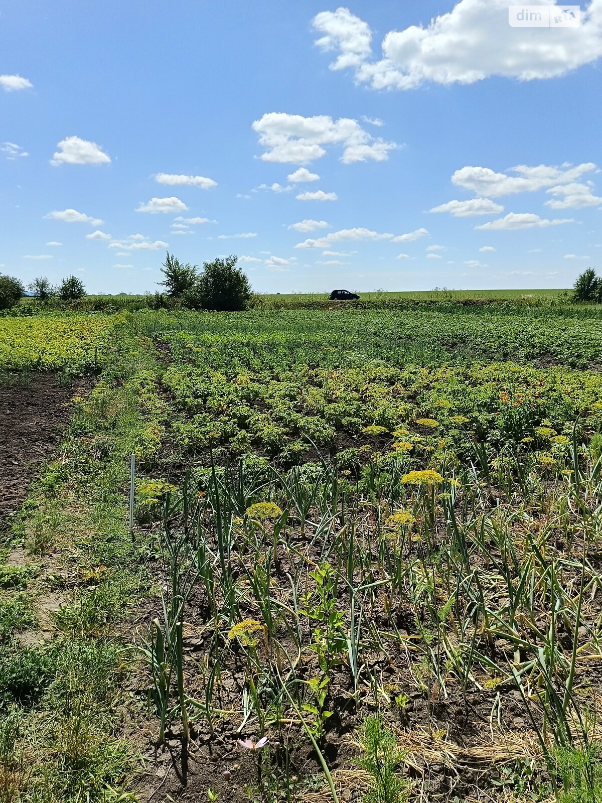Обʼєкт нерухомості: 4 КІМ. БУДИНОК, ПЛОЩА - 76.6 м², ЦІНА - 40 000 $
 — HUBTRUST, Вінниця