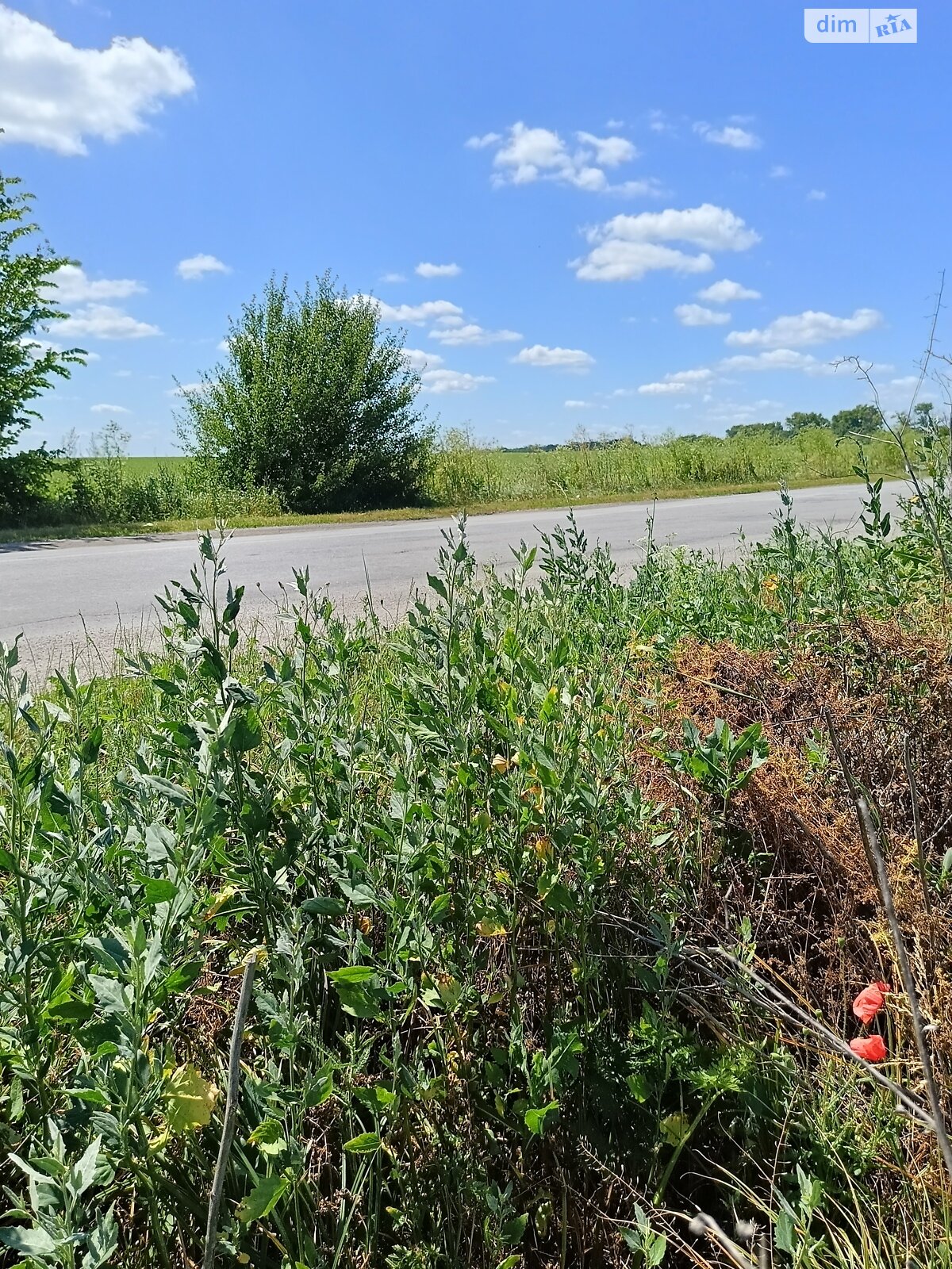 Обʼєкт нерухомості: 4 КІМ. БУДИНОК, ПЛОЩА - 76.6 м², ЦІНА - 40 000 $
 — HUBTRUST, Вінниця