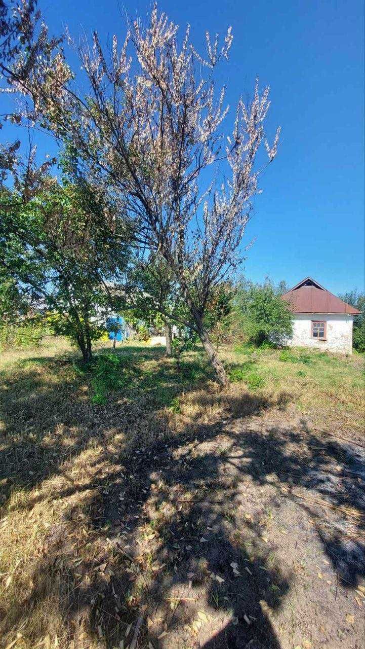 Обʼєкт нерухомості: 2 КІМ. БУДИНОК, ПЛОЩА - 32.7 м², ЦІНА - 4 500 $
 — HUBTRUST, Вінниця