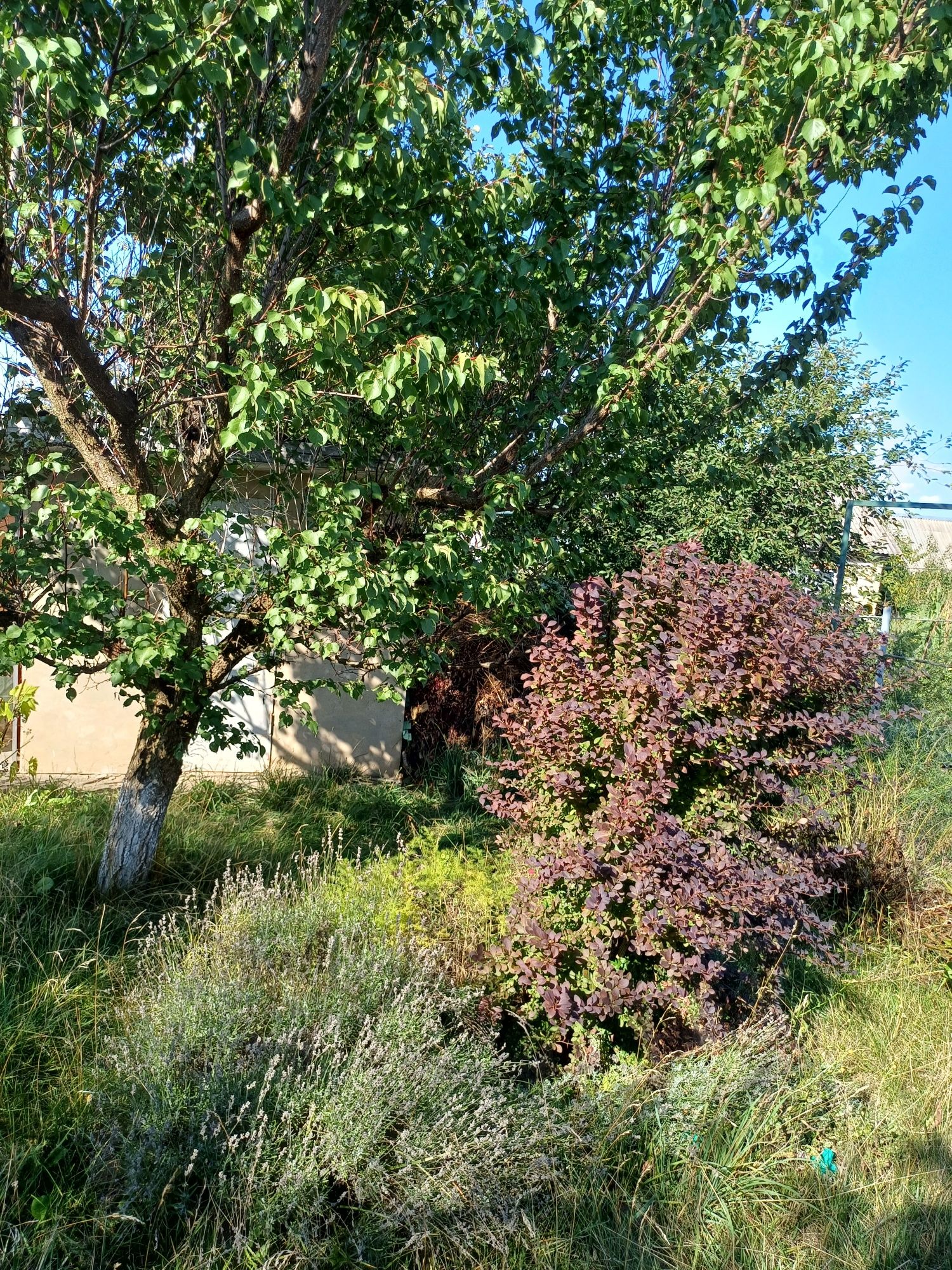 Обʼєкт нерухомості: 2 КІМ. БУДИНОК, ПЛОЩА - 35 м², ЦІНА - 5 300 $
 — HUBTRUST, Вінниця