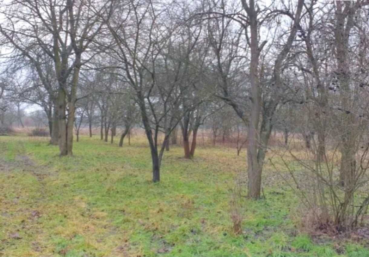 Обʼєкт нерухомості: 1 КІМ. БУДИНОК, ПЛОЩА - 30 м², ЦІНА - 6 000 $
 — HUBTRUST, Вінниця