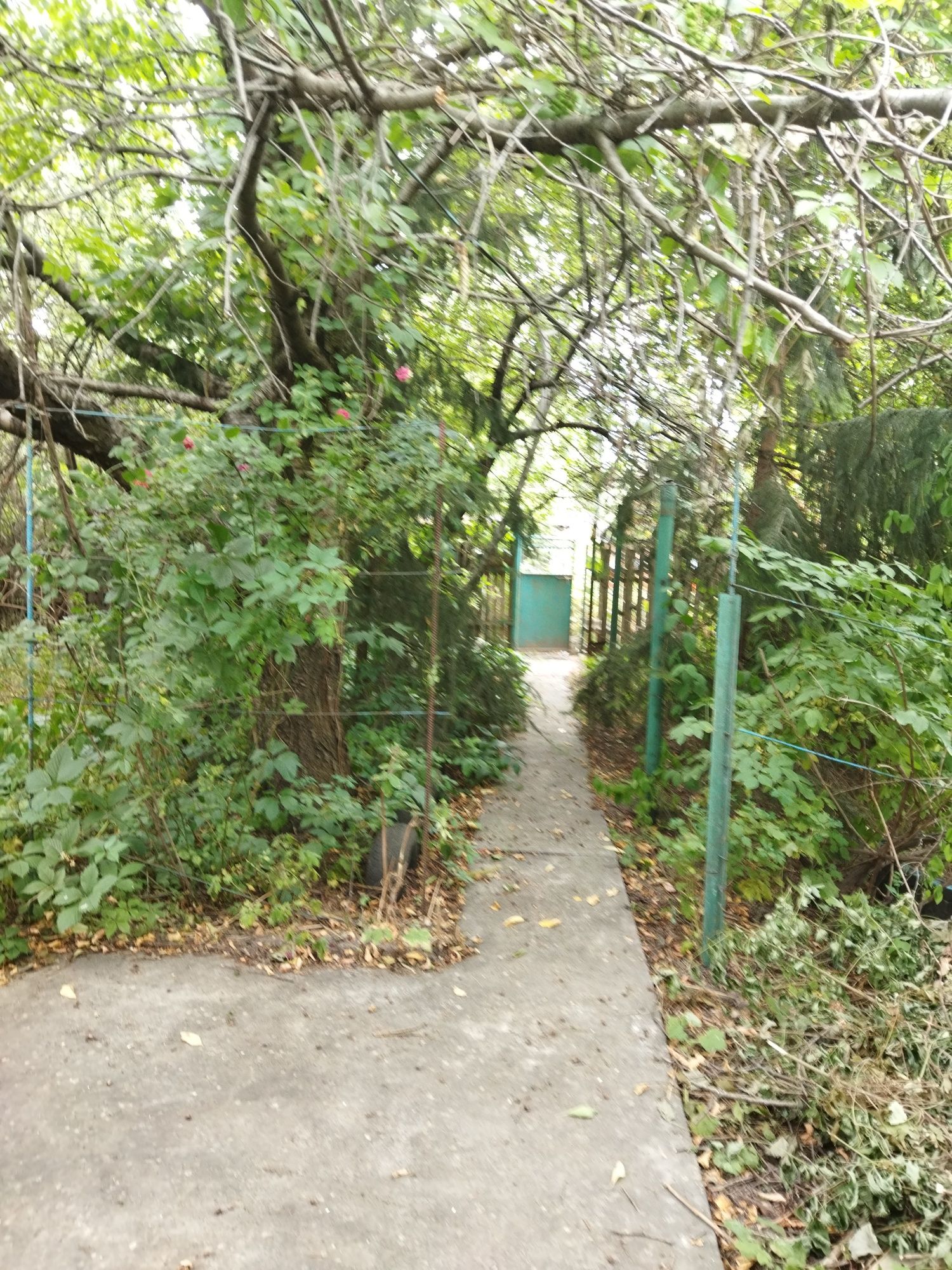 3 КІМ. КВАРТИРА, ПЛОЩА - 60 м², ЦІНА - 20 000 $
