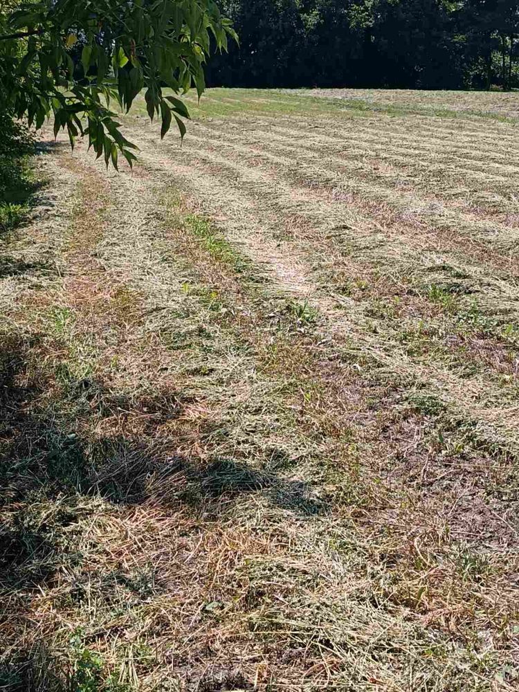 Обʼєкт нерухомості: 2 КІМ. БУДИНОК, ПЛОЩА - 55.1 м², ЦІНА - 7 000 $
 — HUBTRUST, Вінниця