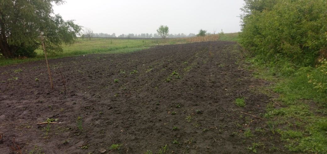 Обʼєкт нерухомості: 2 КІМ. БУДИНОК, ПЛОЩА - 12 м², ЦІНА - 10 000 $
 — HUBTRUST, Вінниця