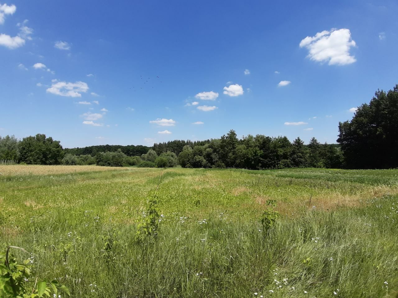 Обʼєкт нерухомості: 3 КІМ. БУДИНОК, ПЛОЩА - 95 м², ЦІНА - 9 900 $
 — HUBTRUST, Вінниця
