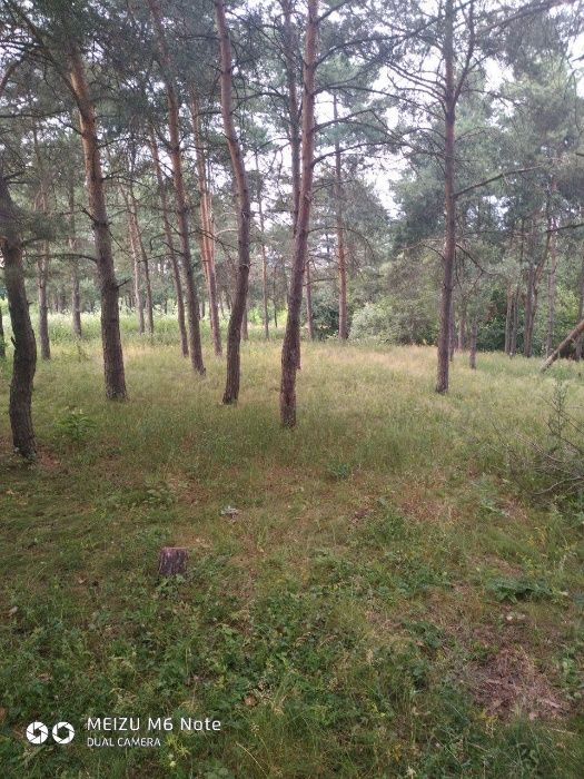 Обʼєкт нерухомості: ПЛОЩА - 99 CОТ., ЦІНА - 2 394 $
 — HUBTRUST, Вінниця