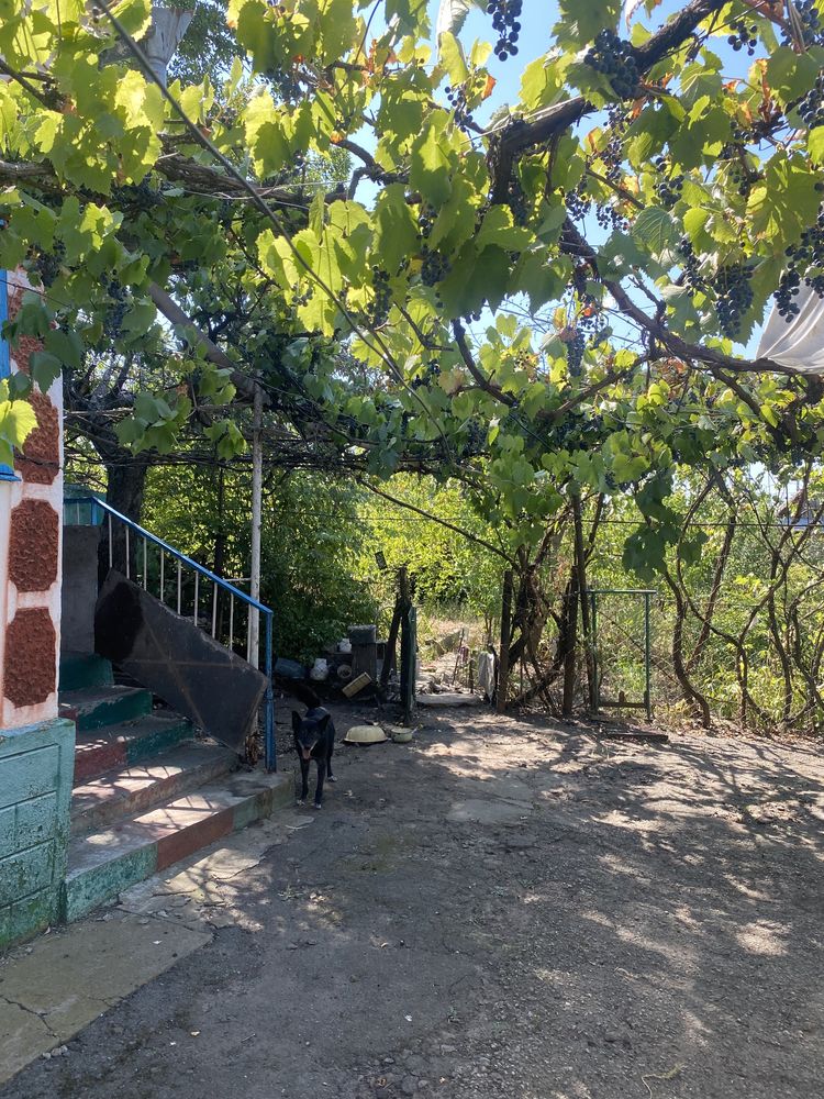 Обʼєкт нерухомості: 4 КІМ. БУДИНОК, ПЛОЩА - 71 м², ЦІНА - 8 890 $
 — HUBTRUST, Вінниця