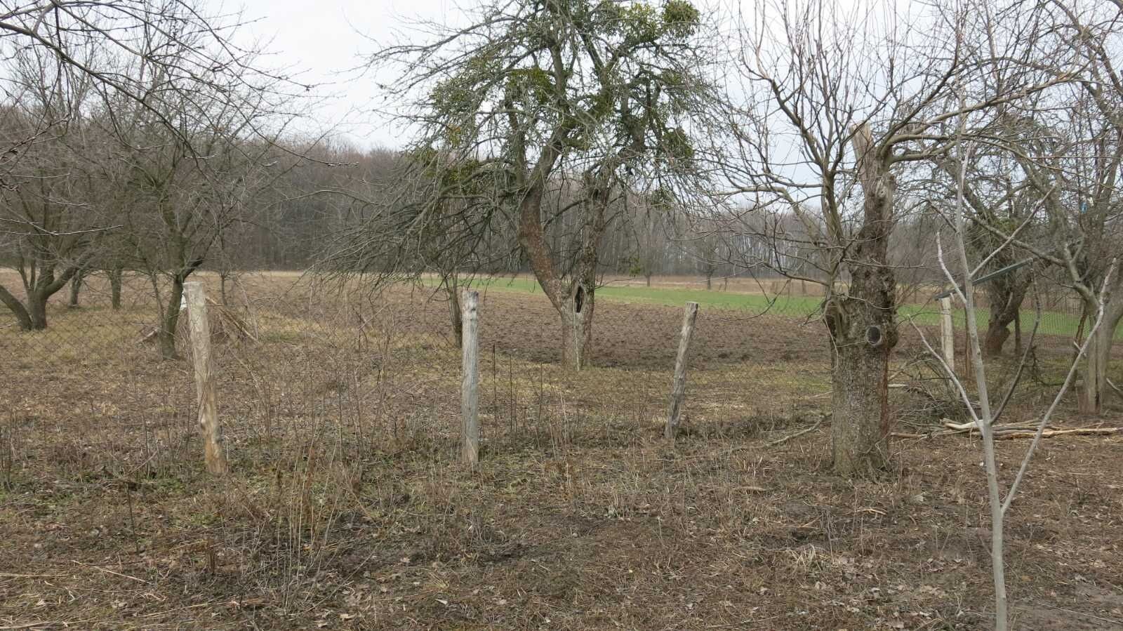 Обʼєкт нерухомості: 4 КІМ. БУДИНОК, ПЛОЩА - 65 м², ЦІНА - 6 000 $
 — HUBTRUST, Вінниця